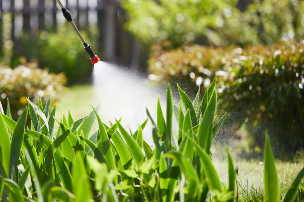 Tamper-Resistant Bait Stations for Rodents in Willows
