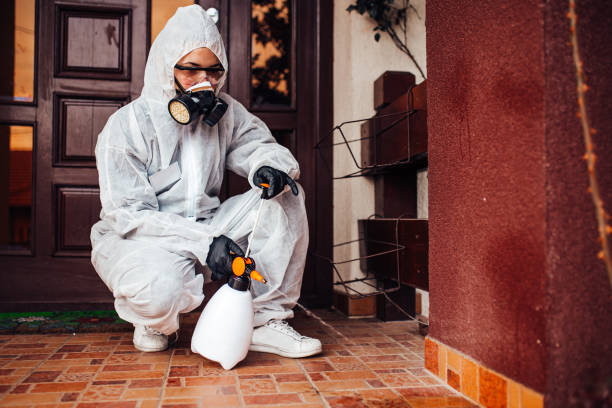 Attic and Crawl Space Rodent Treatment in Willows